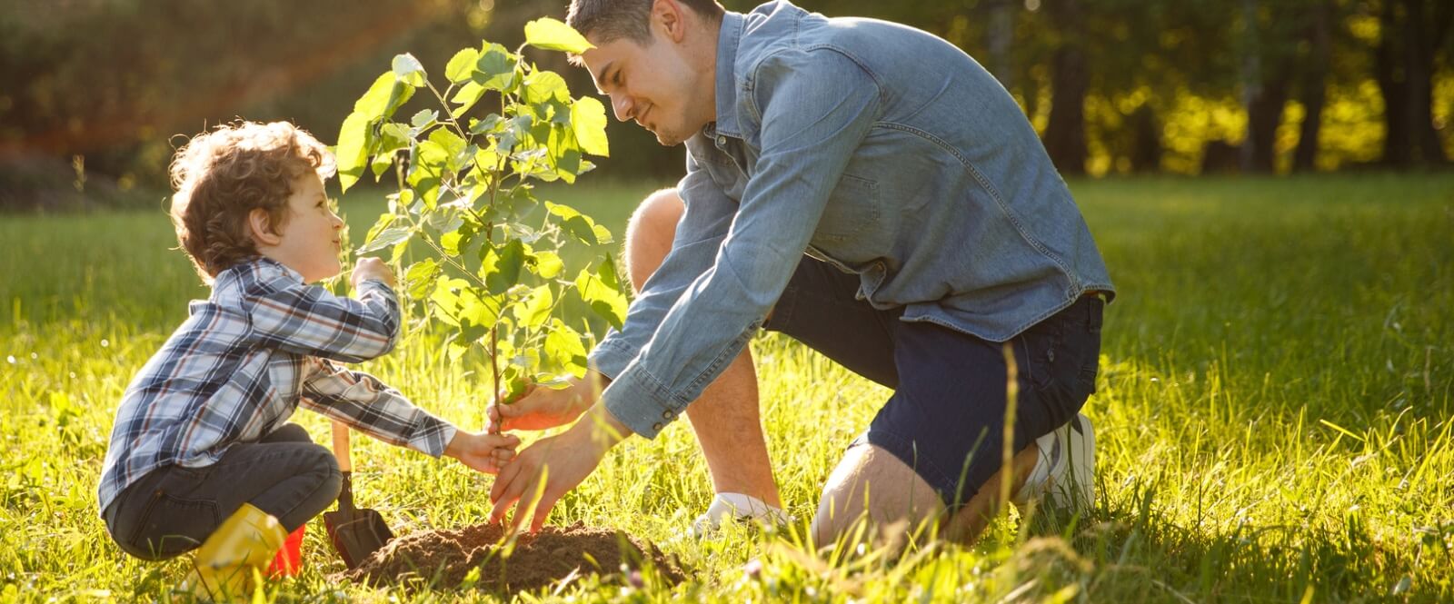 dad and toddler planting a tree outside